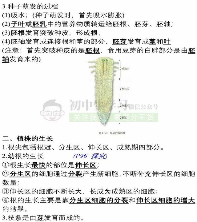 7年级生物上学期期末考试必备复习提纲！期末提分超有用，赶紧背-15.jpg
