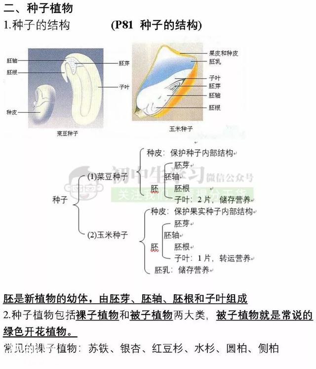 7年级生物上学期期末考试必备复习提纲！期末提分超有用，赶紧背-13.jpg