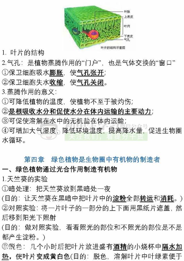 7年级生物上学期期末考试必备复习提纲！期末提分超有用，赶紧背-18.jpg