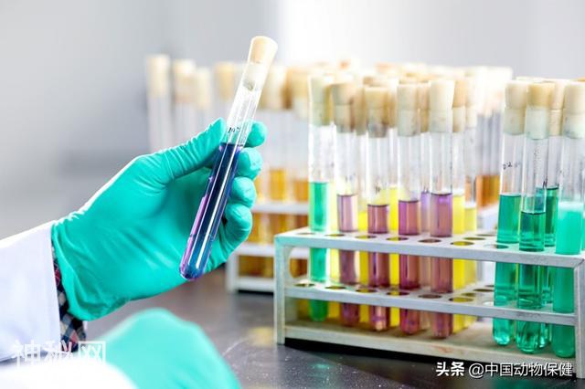 年薪15-25万，普泰生物高薪诚聘诊断试剂销售经理-2.jpg