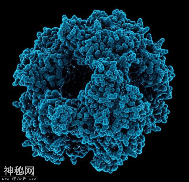 一切生化危机的始作俑者，聊聊《生化危机》里的那些病毒-9.jpg