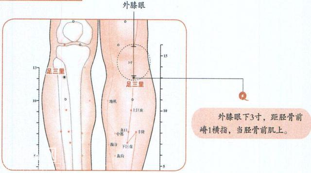 人体生命六要穴！收了吧！-6.jpg