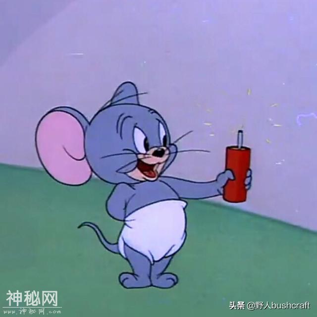 猪八戒的后人？盘点中国7种动物供奉！-6.jpg