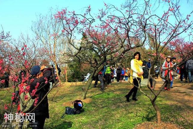 9个清明节习俗，你知道几个习俗？-10.jpg