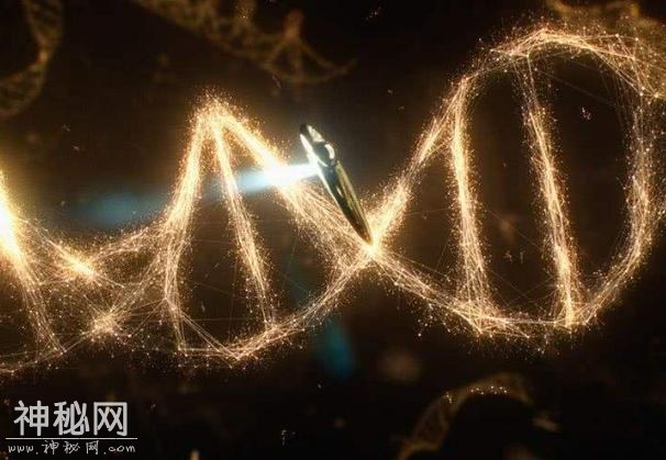 美国科学家：已经合成了外星生命DNA，但存在的形态难以捉摸-2.jpg