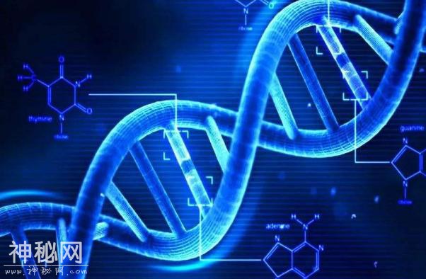 美国科学家：已经合成了外星生命DNA，但存在的形态难以捉摸-3.jpg