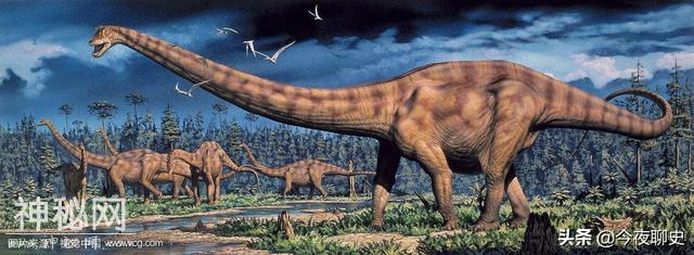 生物进化史——恐龙时代结束了吗？-8.jpg