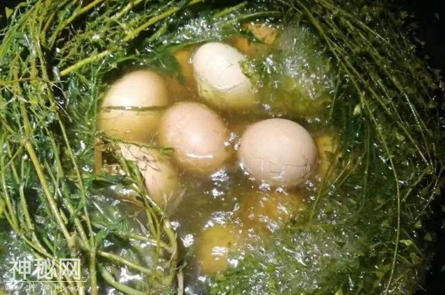 清明也是食疗养生季，三种野菜烹饪美食好吃又健康-1.jpg