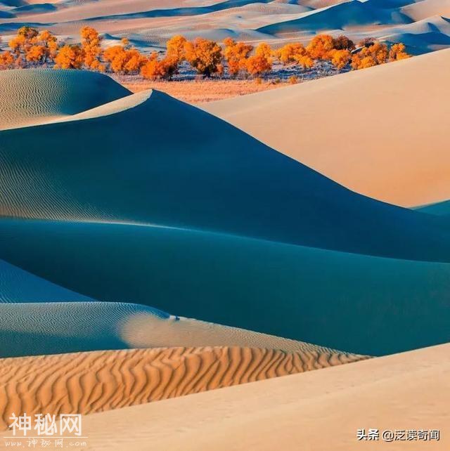 看完，你就知道罗布泊为什么那么吸引人了！震撼-16.jpg