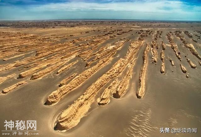 看完，你就知道罗布泊为什么那么吸引人了！震撼-44.jpg