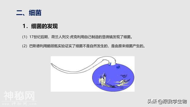 2019年中考生物一轮复习第22讲  细菌、真菌和病毒（一）-5.jpg