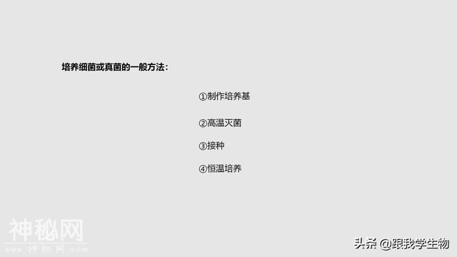2019年中考生物一轮复习第22讲  细菌、真菌和病毒（一）-2.jpg