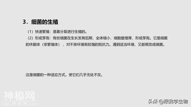 2019年中考生物一轮复习第22讲  细菌、真菌和病毒（一）-8.jpg