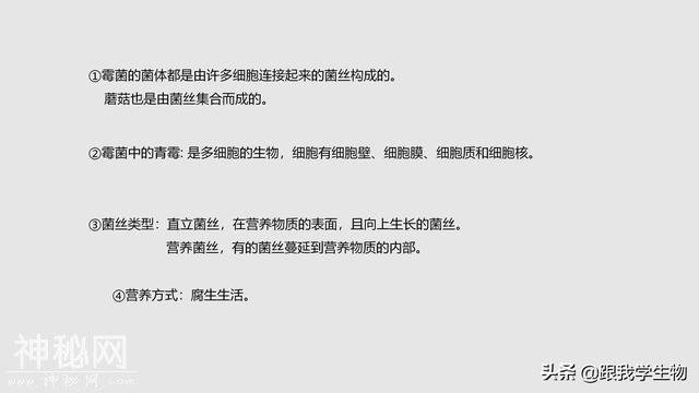 2019年中考生物一轮复习第22讲  细菌、真菌和病毒（一）-13.jpg