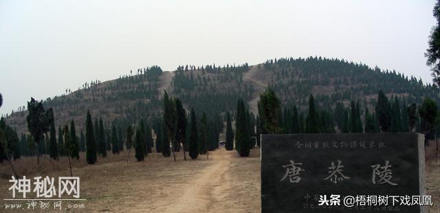 凭“夜听空谷回音”盗墓绝技，推测妃冢墓道，挖第一锹的被判死刑-1.jpg