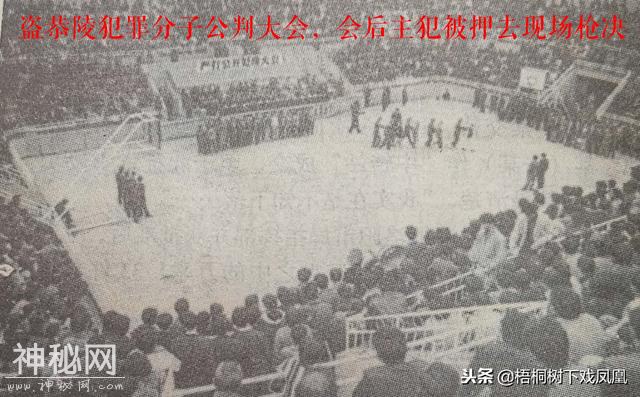凭“夜听空谷回音”盗墓绝技，推测妃冢墓道，挖第一锹的被判死刑-12.jpg