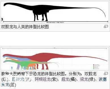 大象是当今最大陆生动物，让它和这些恐龙去比，还没它们一条腿大-3.jpg