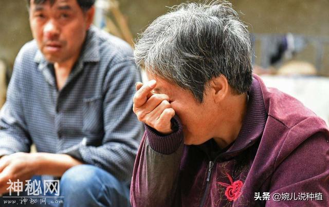 病毒病很难治？这方法绝了！这几种常见的病毒病，一次就搞定！-2.jpg