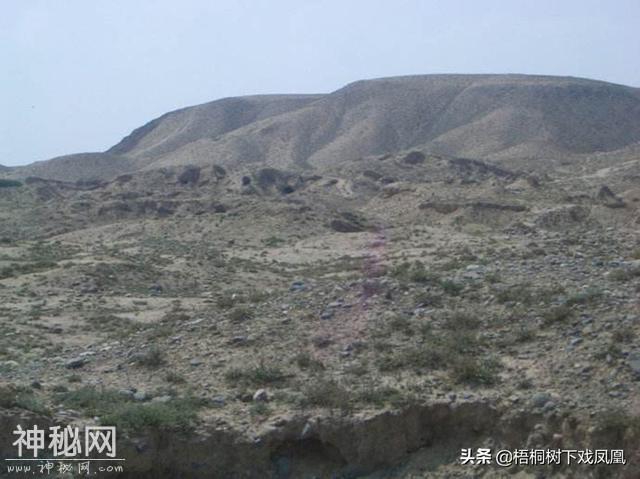 中国盗墓最严重的地方并不是河南，此省不少地方盗墓如刨山芋-4.jpg