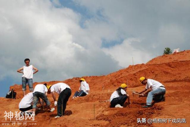 中国盗墓最严重的地方并不是河南，此省不少地方盗墓如刨山芋-2.jpg