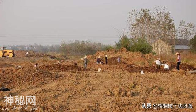 中国盗墓最严重的地方并不是河南，此省不少地方盗墓如刨山芋-5.jpg