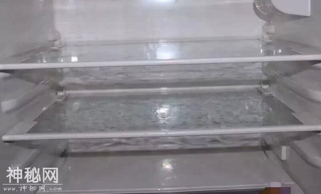平时冰箱不清理，里面全是“细菌”，教你不用1滴水，焕然一新-3.jpg