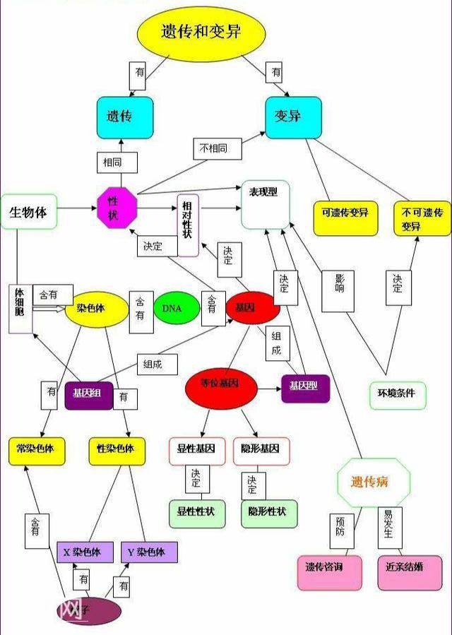 简单介绍一下现代生物进化理论-3.jpg
