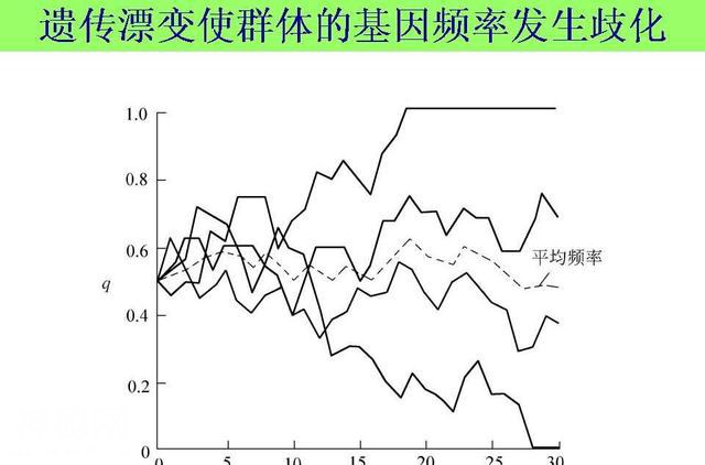 简单介绍一下现代生物进化理论-4.jpg