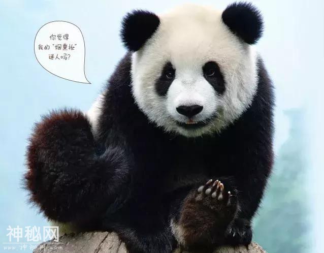 它们距离“灭绝”仅差一步！这些珍稀动物，你知道几个？-1.jpg