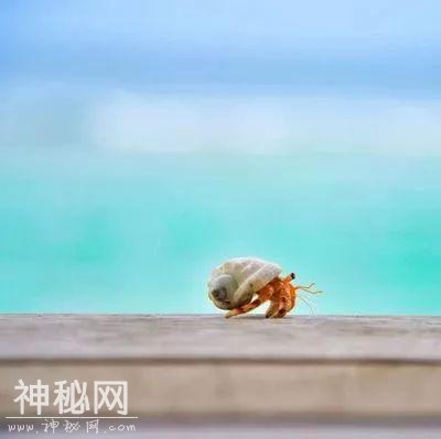 10个寓意深刻的哲理故事，带你看透人生！-3.jpg