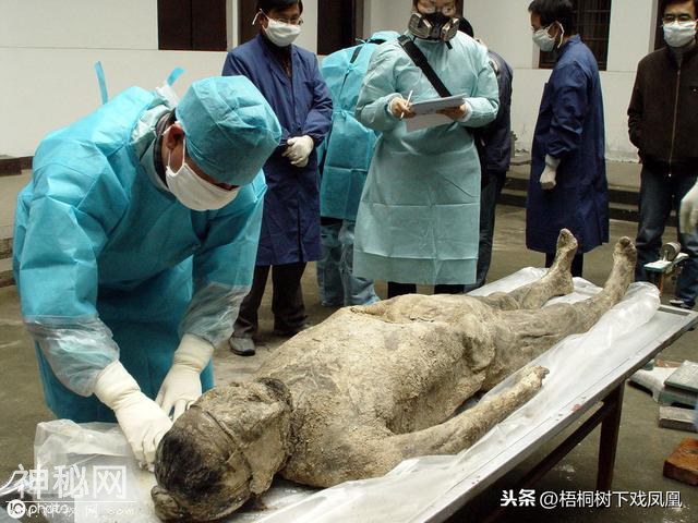 盗墓挖开后发现古尸不腐如生，参与发掘者竟然据此认出墓主后人-4.jpg