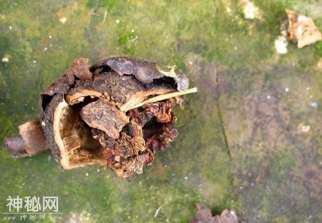 走进道教文化圣地：武当山，一个不得不去的地方-31.jpg