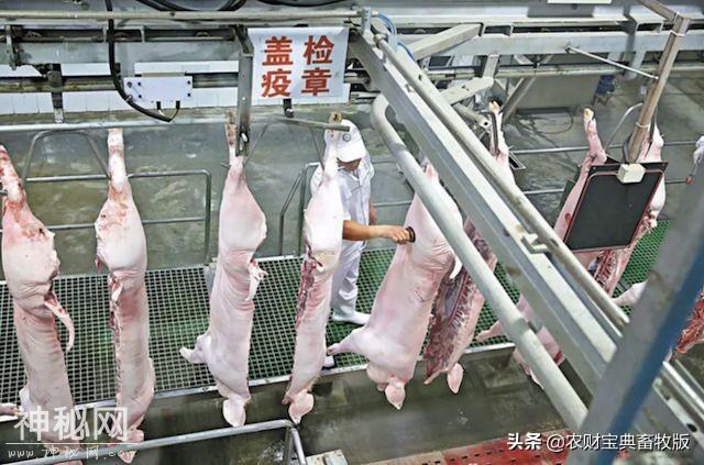 全面切断传播途径！冷冻猪肉、加工流通环节等也要检测非瘟病毒《一周要闻》-2.jpg