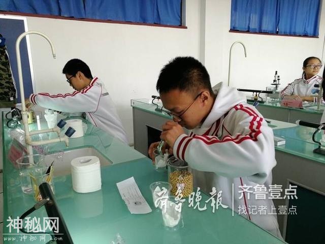 探访青岛生物实操考试：难度不大，考生基本都合格-3.jpg