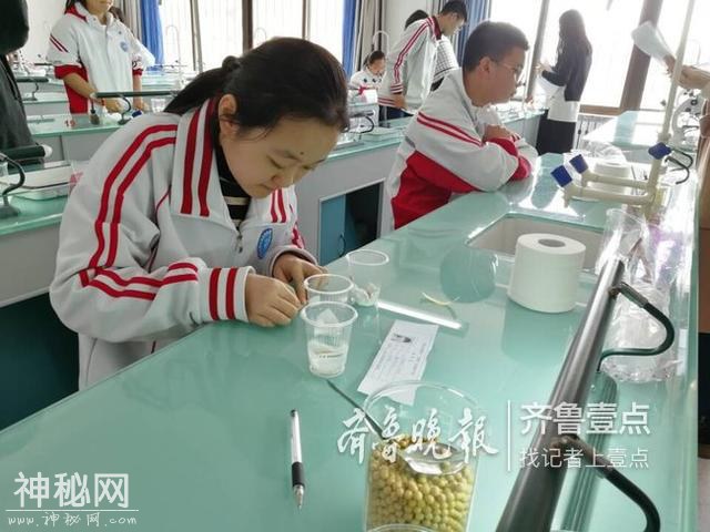 探访青岛生物实操考试：难度不大，考生基本都合格-2.jpg