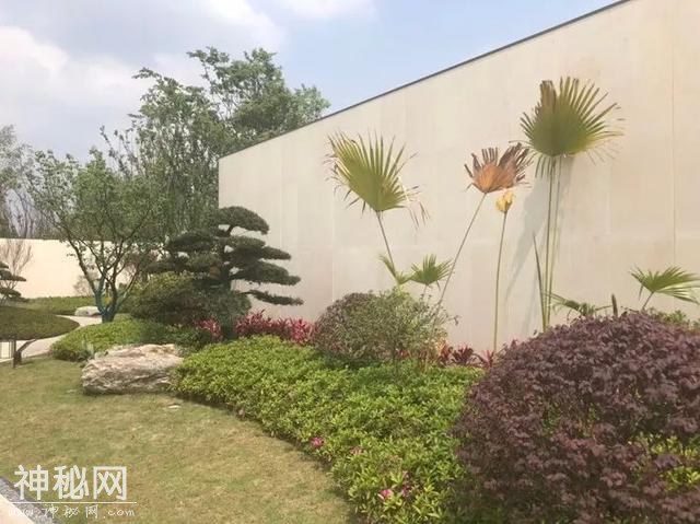 水土被有钱人默默“疯抢”，实地踩盘发现真实原因-1.jpg
