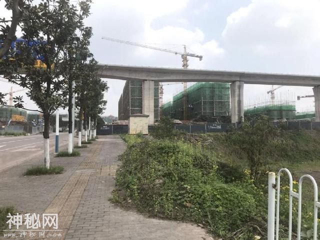 水土被有钱人默默“疯抢”，实地踩盘发现真实原因-5.jpg