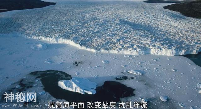豆瓣9.8！纪录片《我们的星球》美哭了！-18.jpg