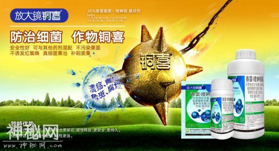 植物细菌病害有500多种，防治细菌用什么好？-1.jpg