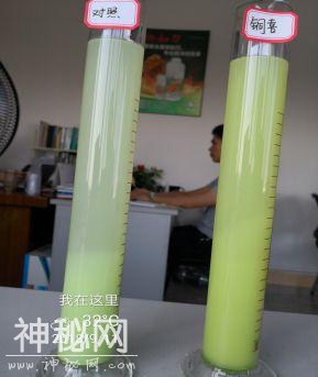 植物细菌病害有500多种，防治细菌用什么好？-2.jpg