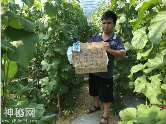 植物细菌病害有500多种，防治细菌用什么好？-9.jpg