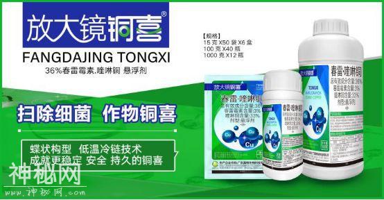 植物细菌病害有500多种，防治细菌用什么好？-12.jpg
