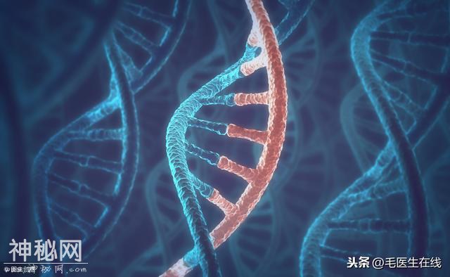 和HIV很相似，这种病毒已经引起约四千万人感染-3.jpg