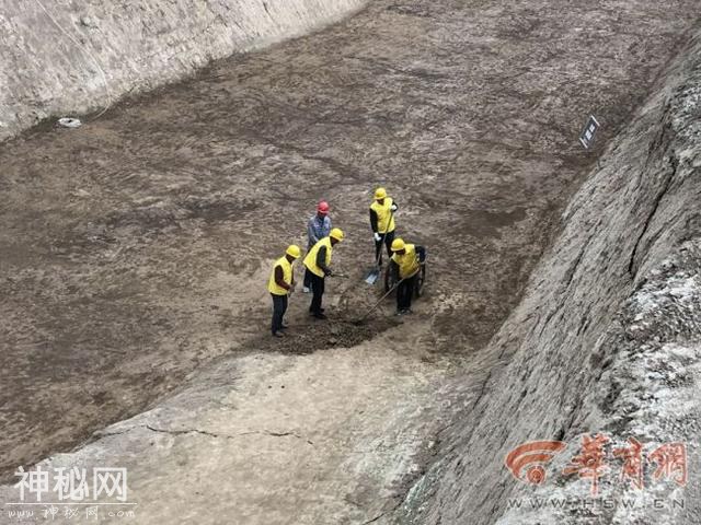 秦公一号大墓车马坑启动考古发掘 揭先秦活人活马陪葬真相-2.jpg