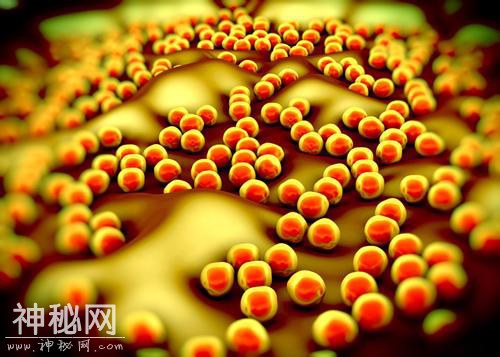 超级细菌不是敌人，英国专家：这种材料可以杀死医院的超级细菌-5.jpg