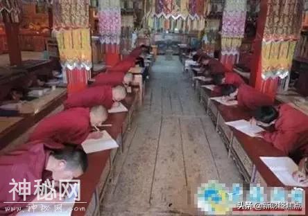 看了佛教和道教的期末考试安排……网友：我不配出家和修仙-24.jpg