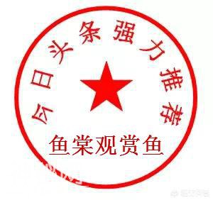 海里的动物像小鱼儿睡觉的时候会不会被其他动物吃掉呢？-9.jpg