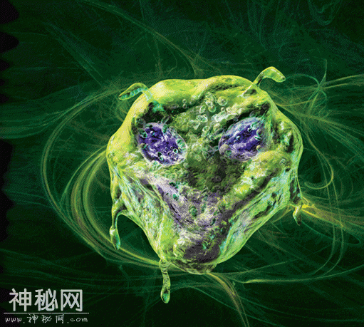 盘点地球上的“外星生物”，这一个物种竟杀不死!-5.jpg