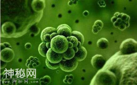 盘点地球上的“外星生物”，这一个物种竟杀不死!-6.jpg