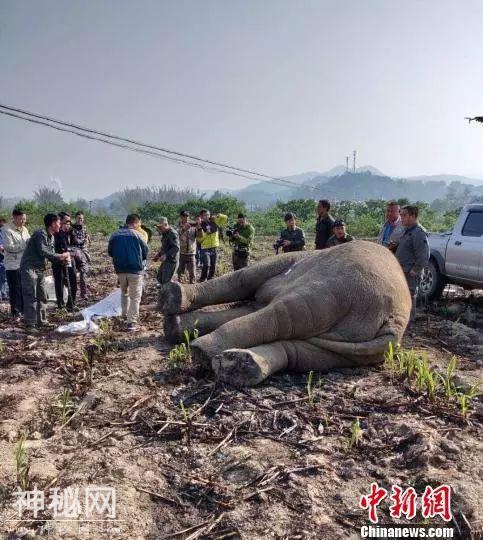 晨读 | 长生生物18个疫苗批号被注销 | C罗女友：我们一见钟情-4.jpg